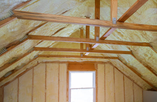 Best Spray Foam Insulation  in Ottawa, OH